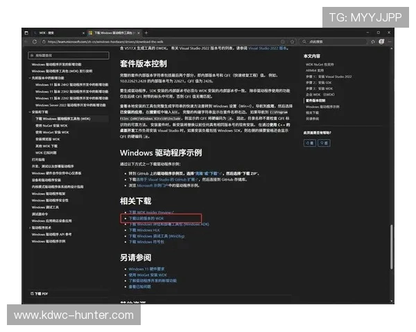 在VS2017环境下使用SDK81进行高效开发的实用指南与技巧分享